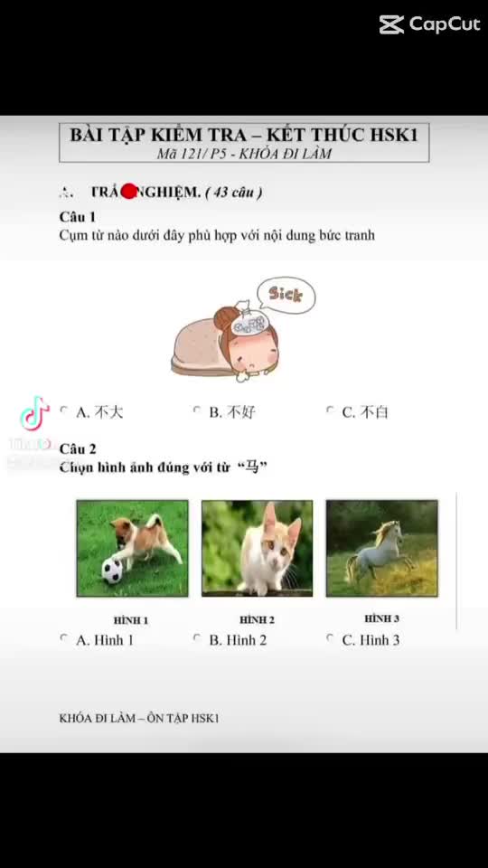 @Trung tâm ngoại ngữ Sk_Link