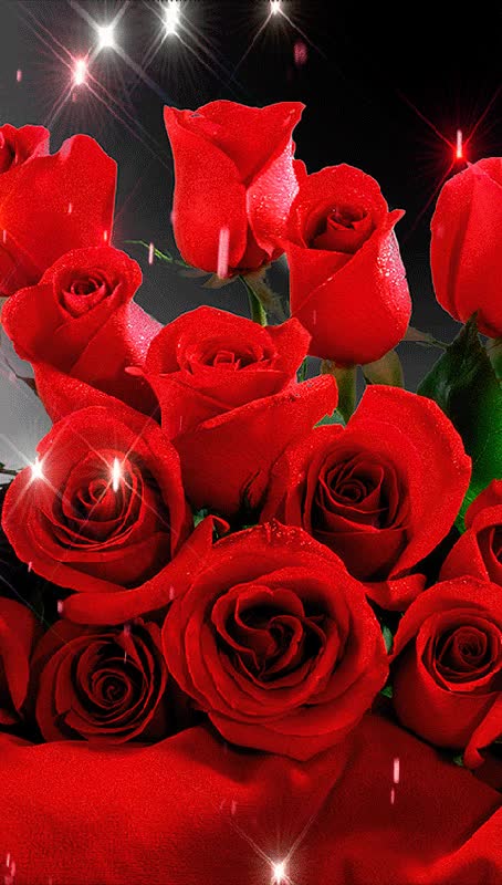 @Mubashir Ali