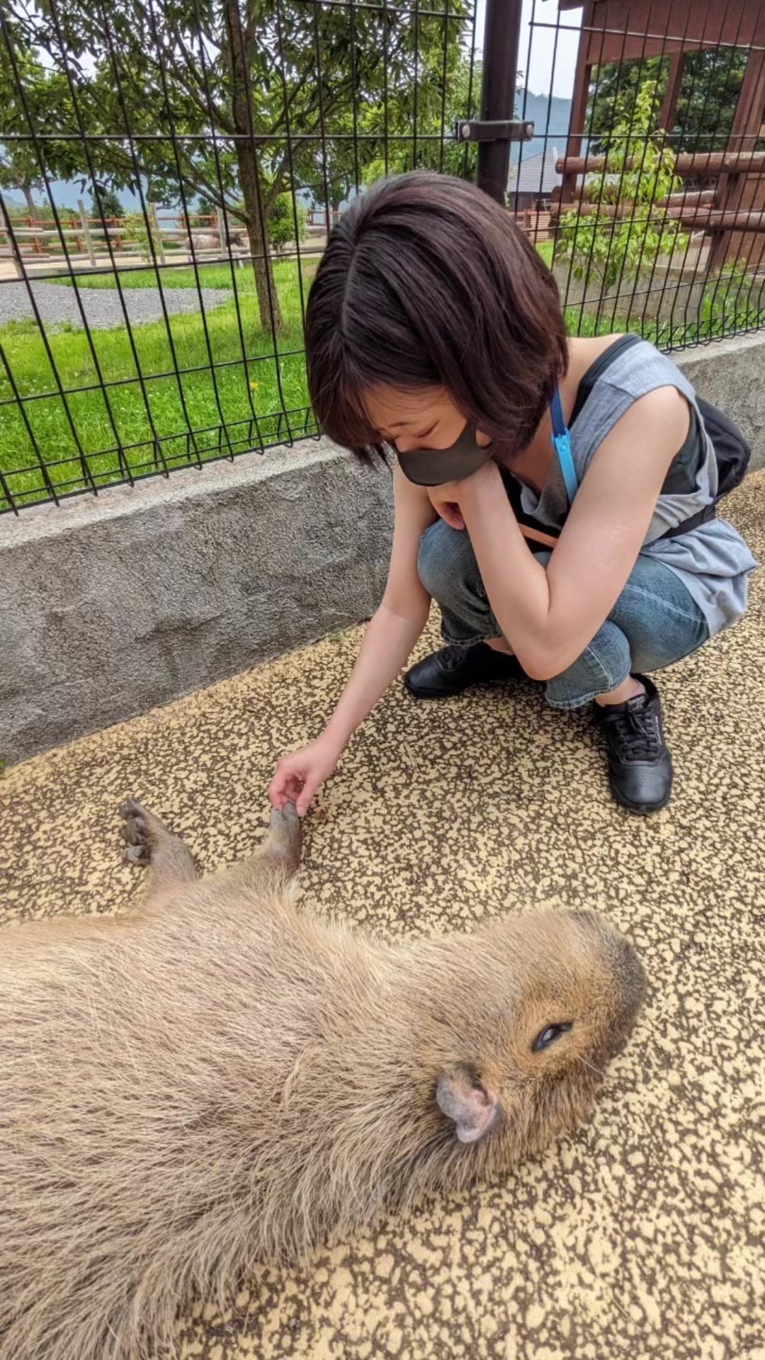 @セイラ⸜☀️⸝🐺