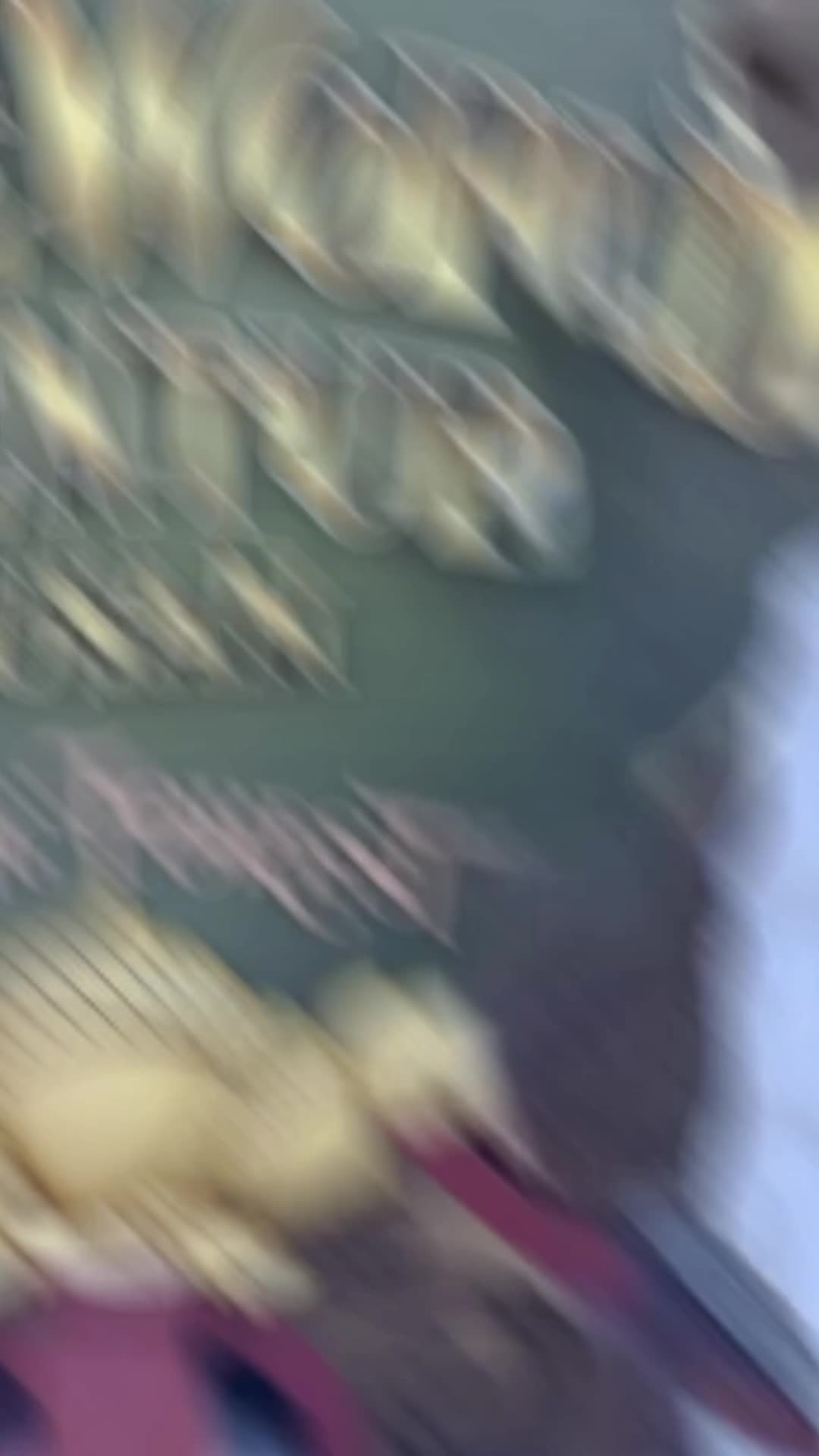 @벤스칸🪽
