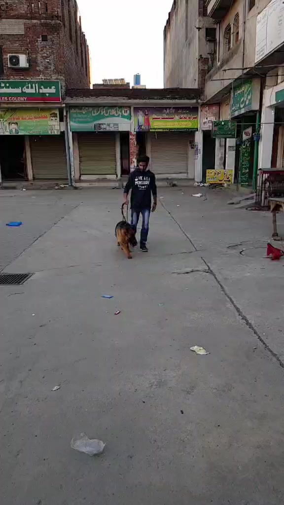 @fuqi