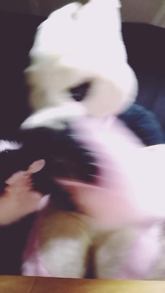 @Y_Screm