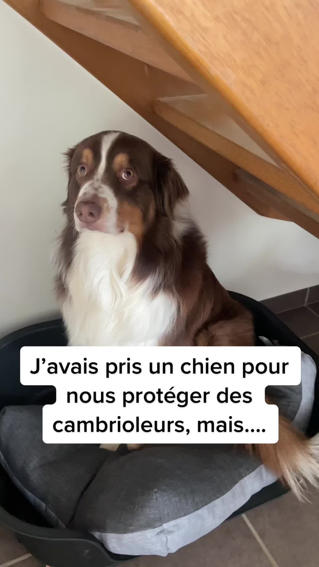 @Le blancbec