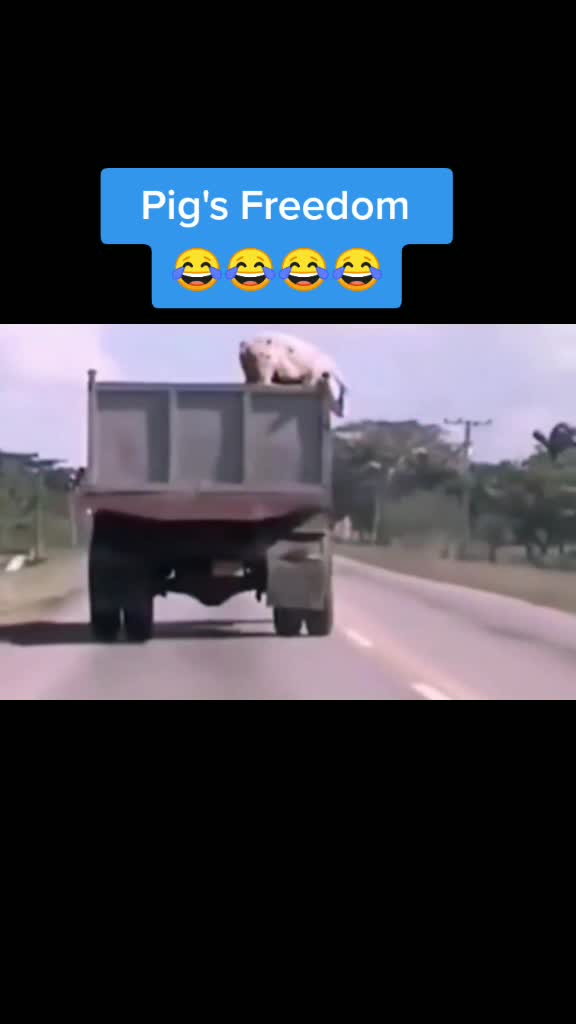 @Magic_Car