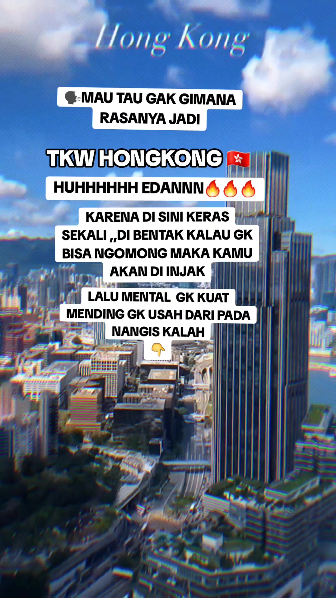 @🇭🇰SAILANFA🇼🇸