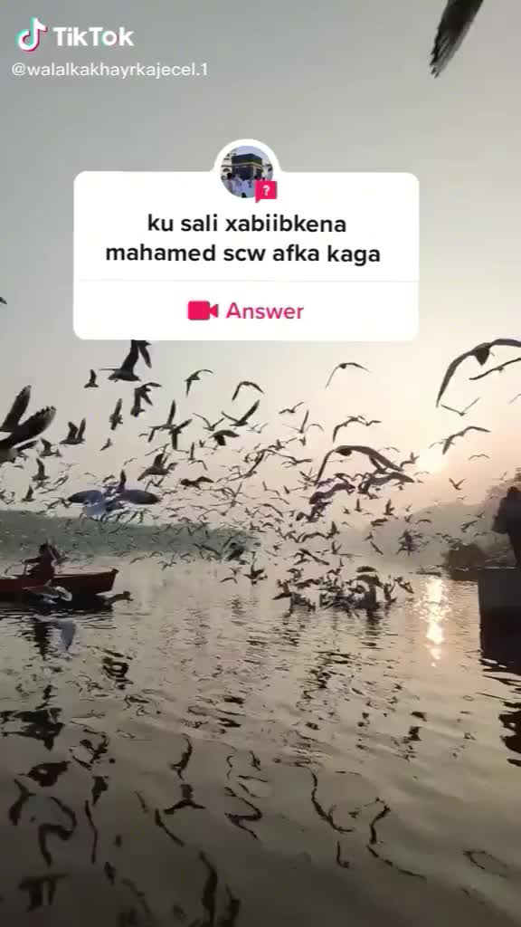 @walaalka khayrka