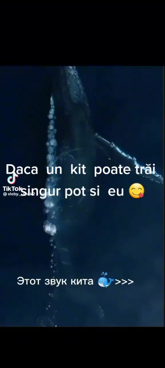 @Mariana Madan