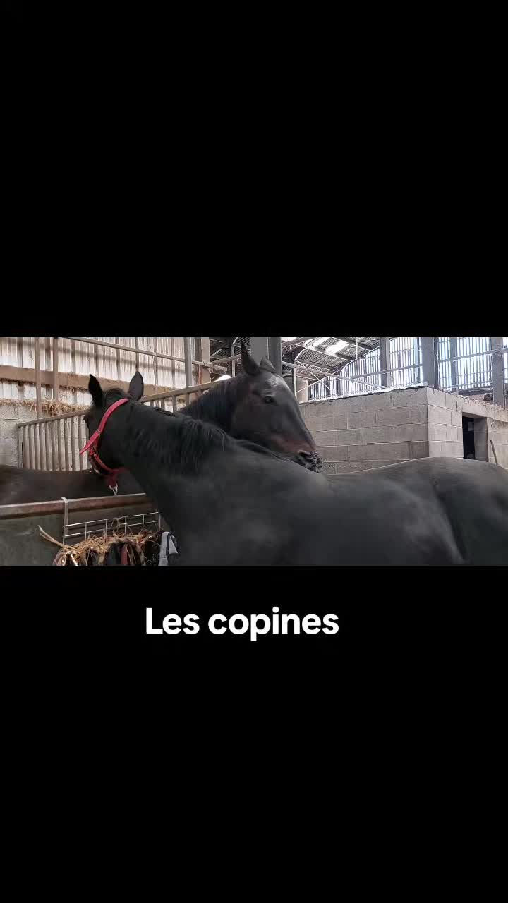 @Steph