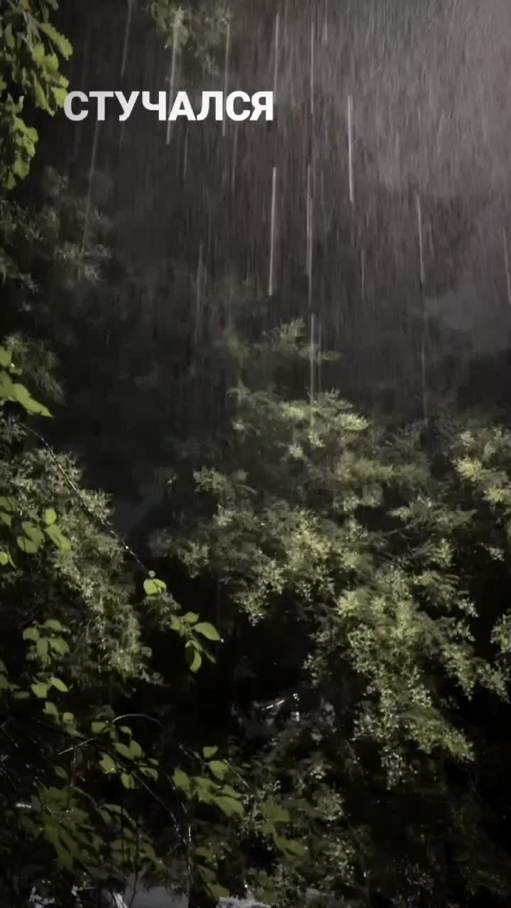 @ꕤ₊˚