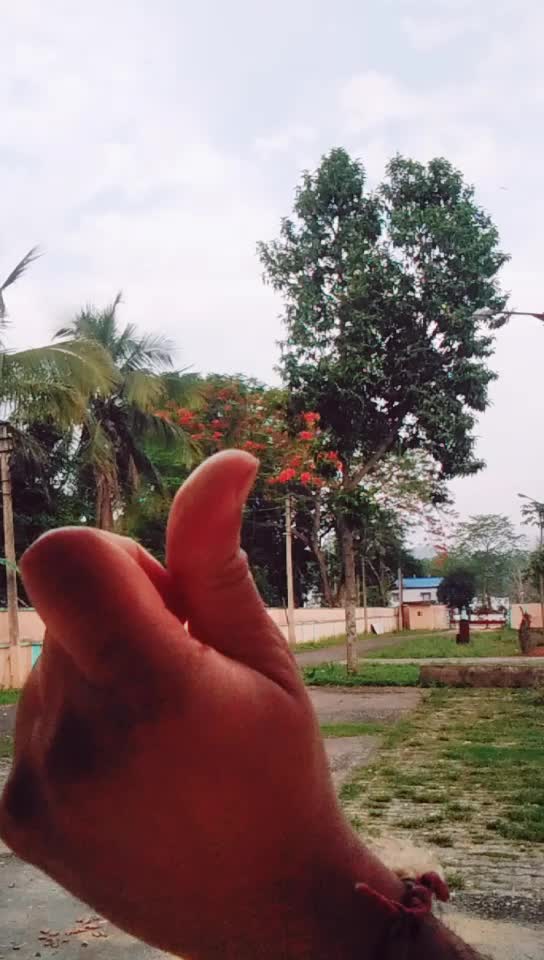 @dhunu
