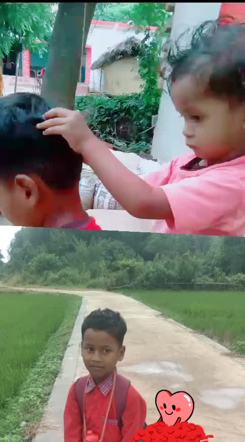 @krishna raj up 51