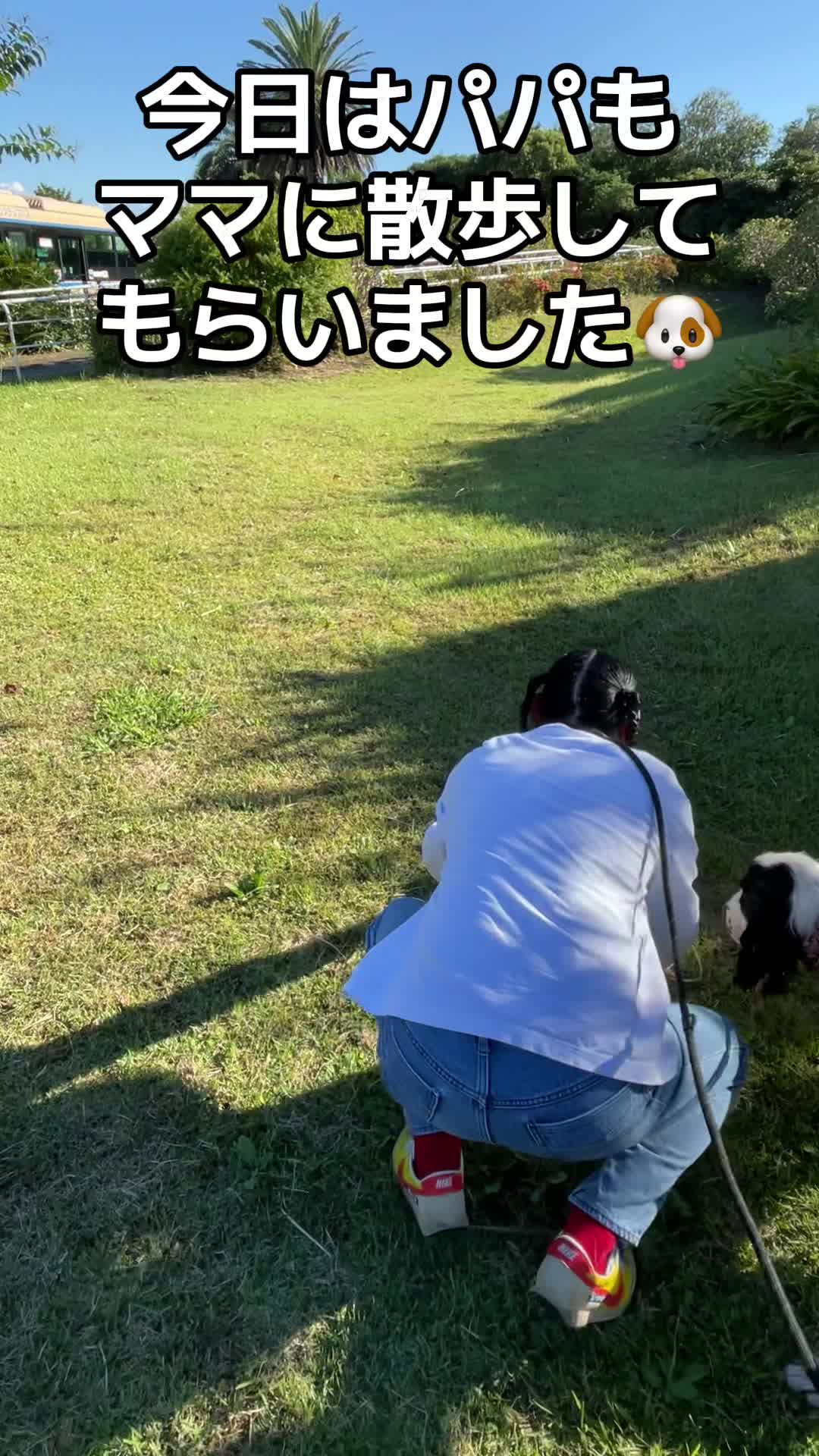 @進撃のバブ子🍉