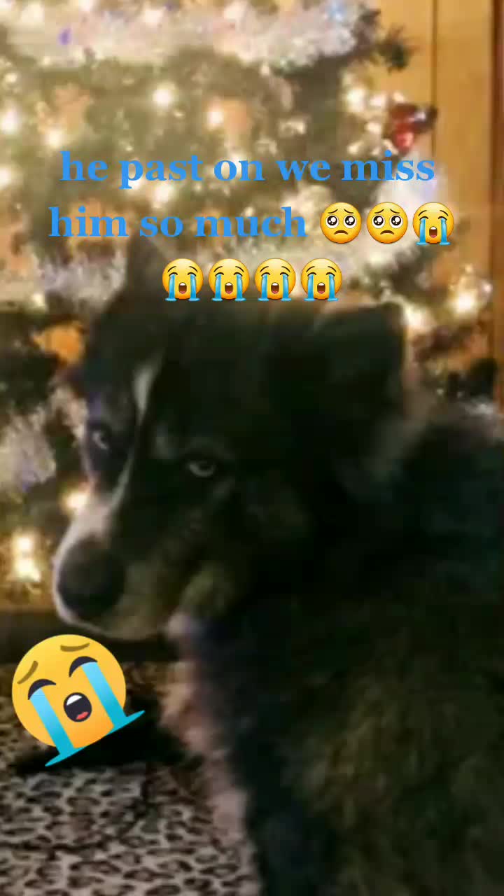 @gtg057