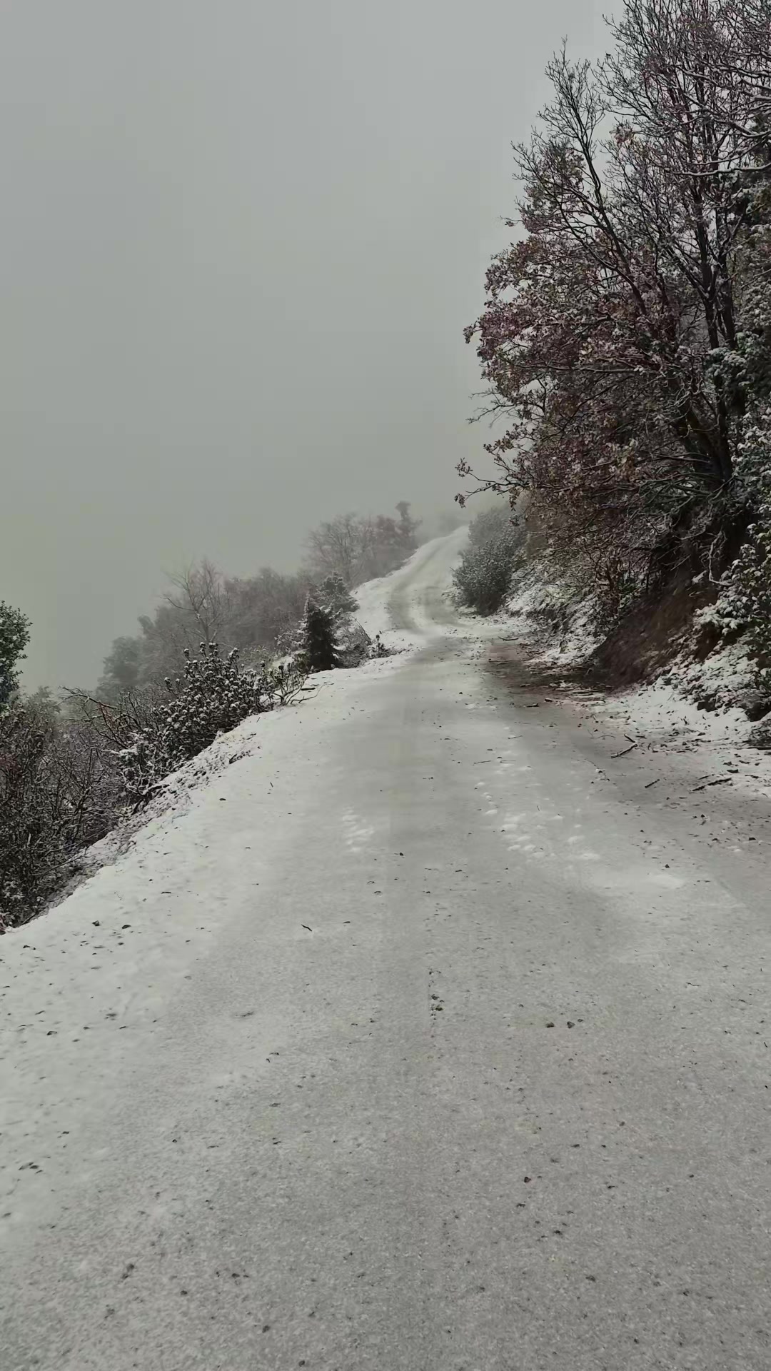 @Mevlüt Gül