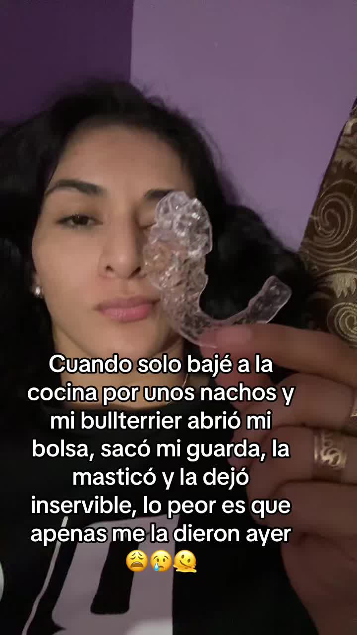 @poladygaga