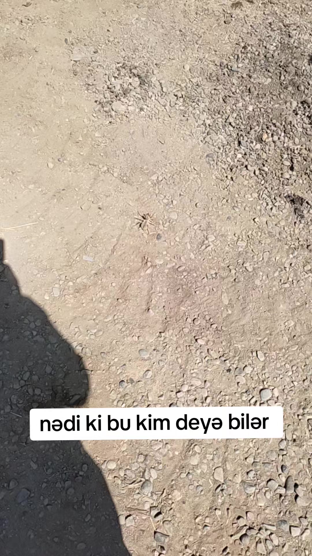 @🖇️ Аскерли🖇️