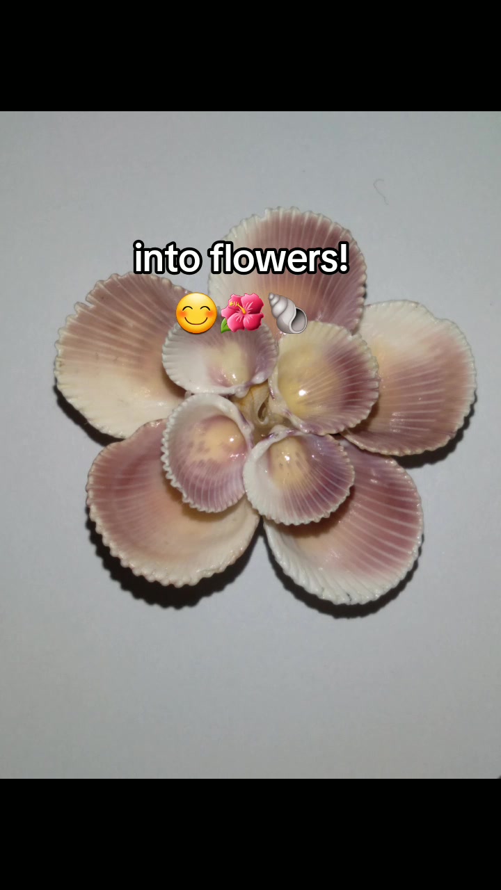@Mermaid Flowers🧜&zwj;♀️🐚