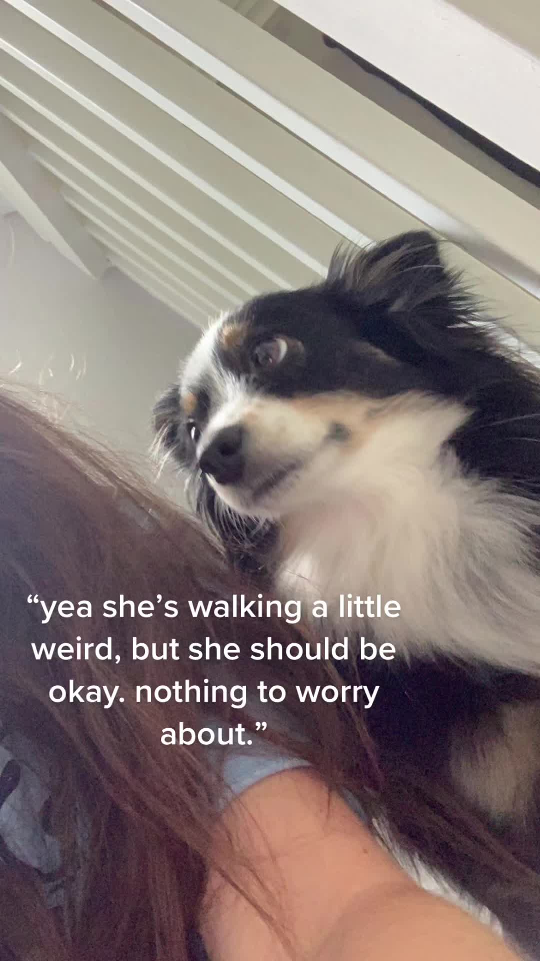 @taylor