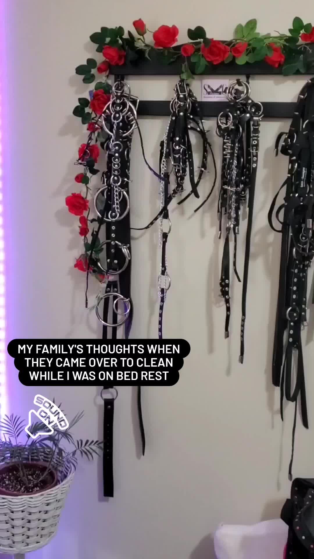 @Justina / harness seamstress