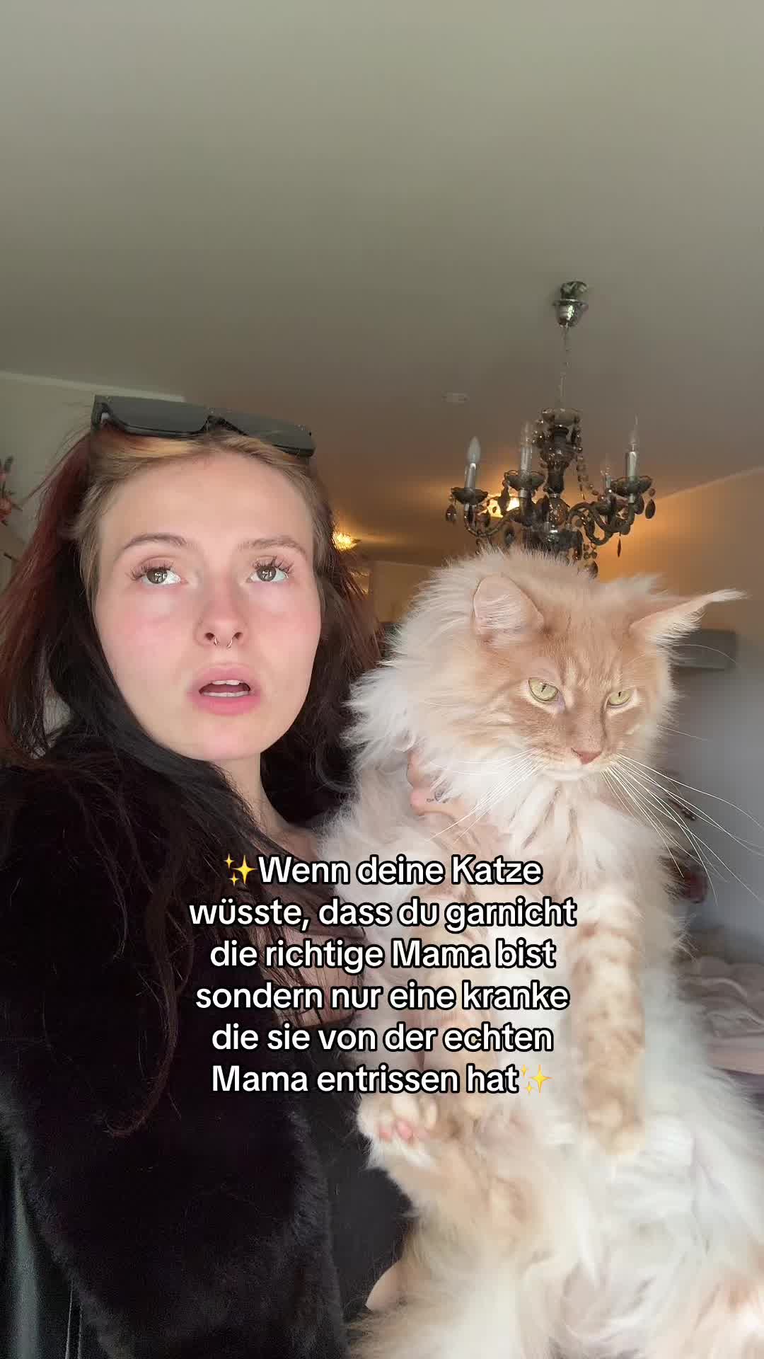 @dieBesteTikTokerin_