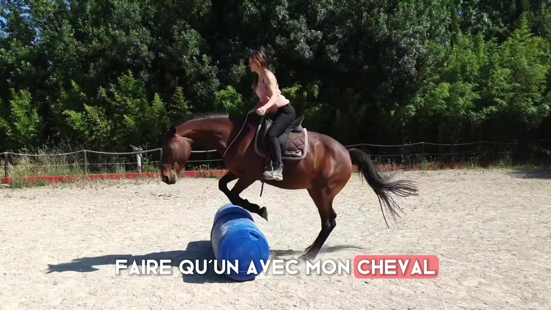 @Horsewoman Trip