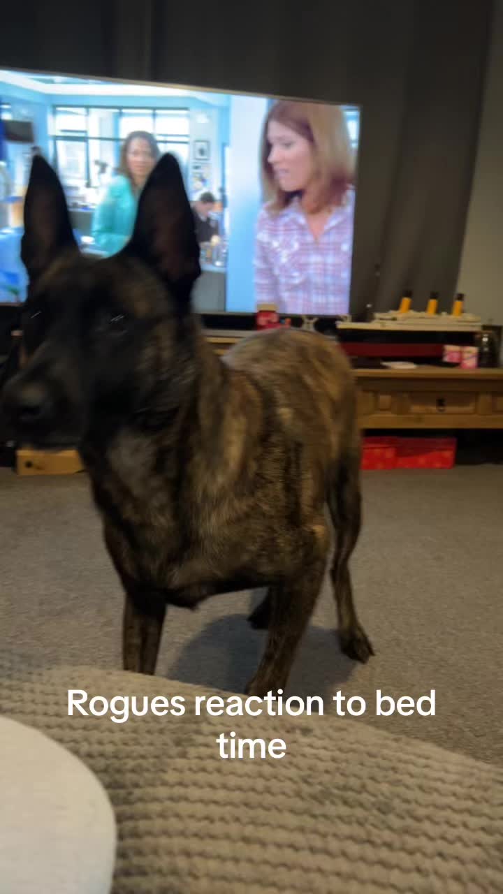 @RogueandMatthew