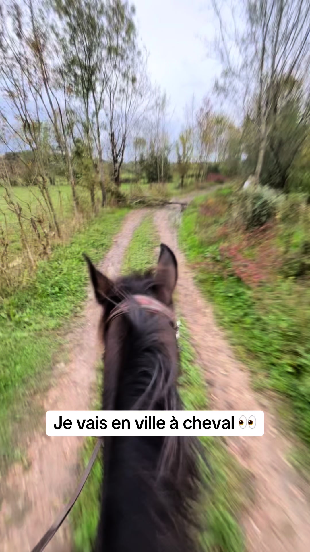 @Blondie ๐