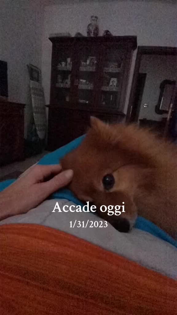 @Davide Spiandorello