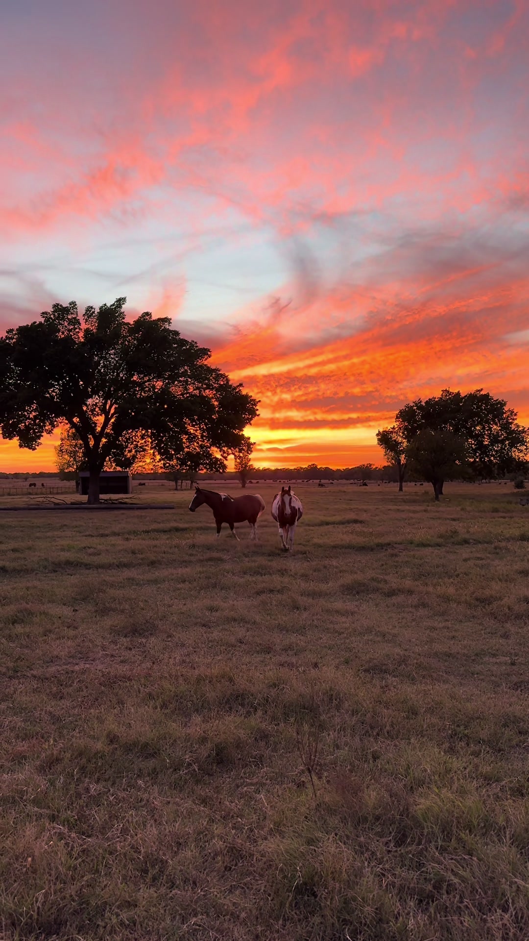 @masoncreekranch