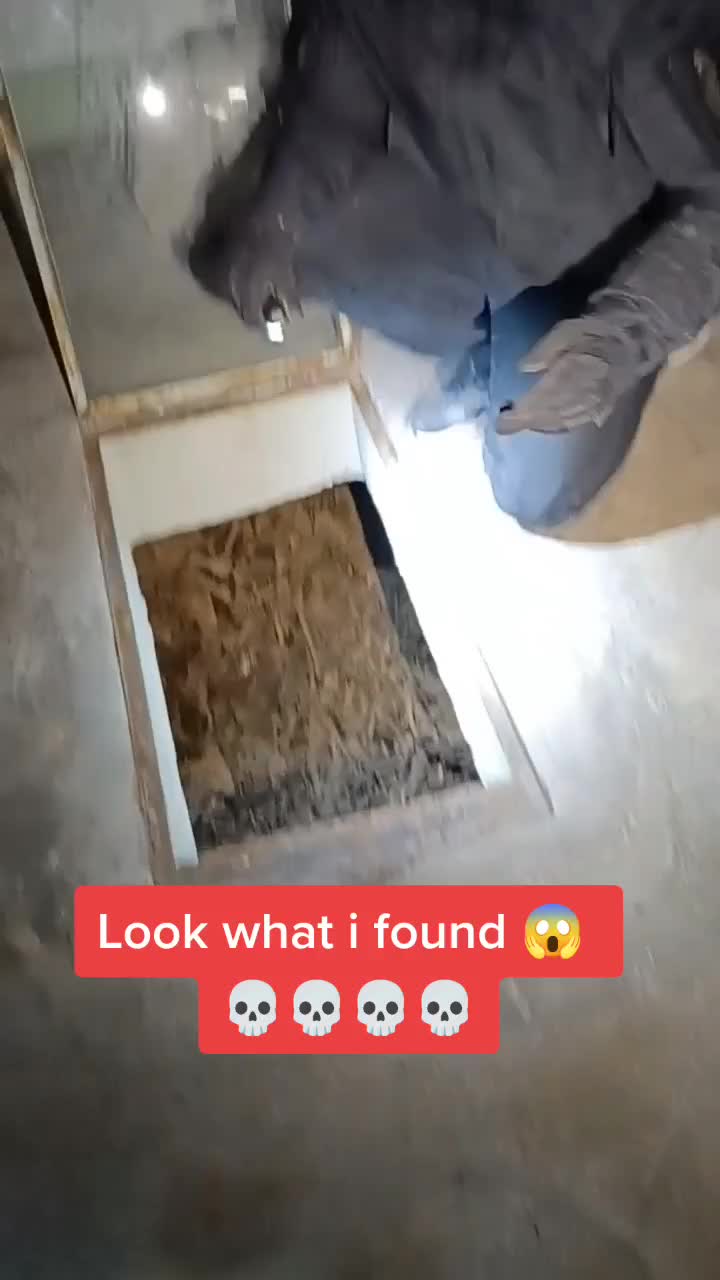 @wildboy_adventures