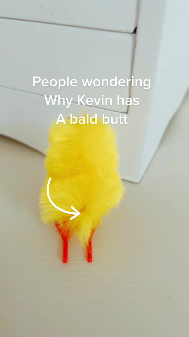 @kevin_the_chick_