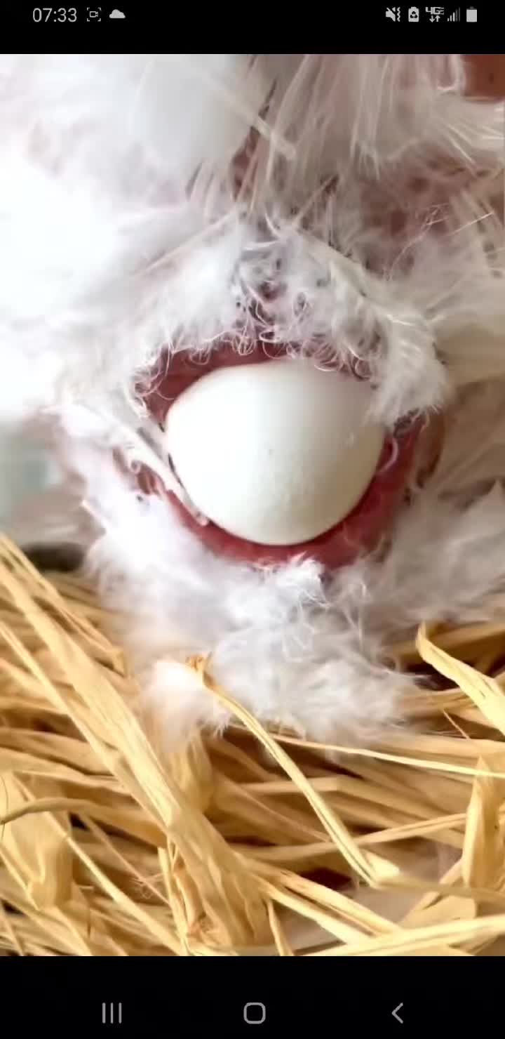 @RedditInSummation