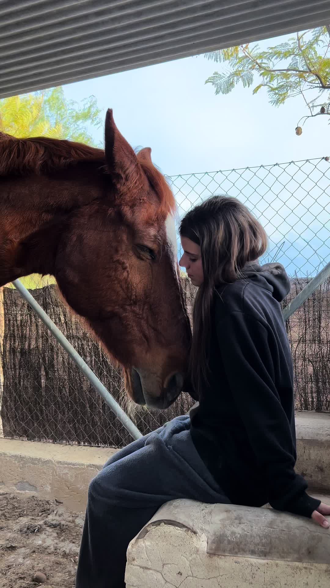 @MyHorse