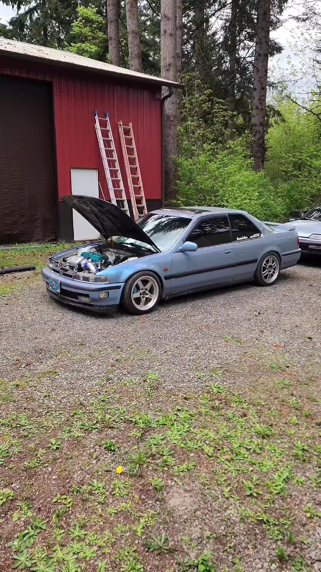@Disilicide