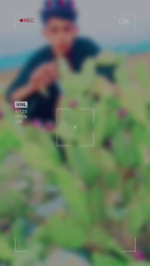 @👑رفیق۔اجمل 👑گندف وال 🥀