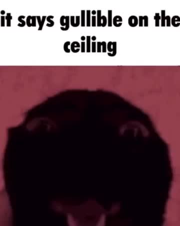 @Meme Depot