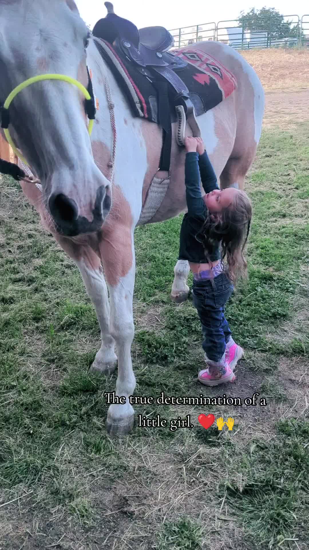 @Cowgirl Tuff Colt Training ❤️