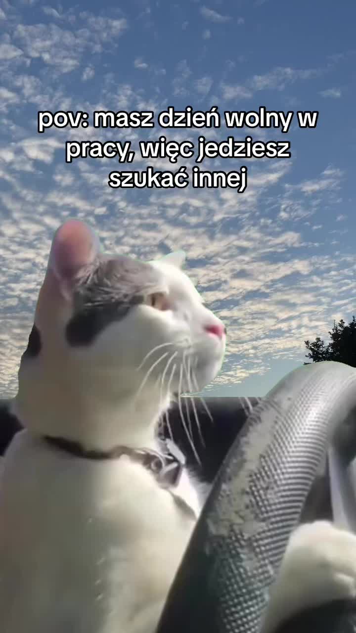 @chucper