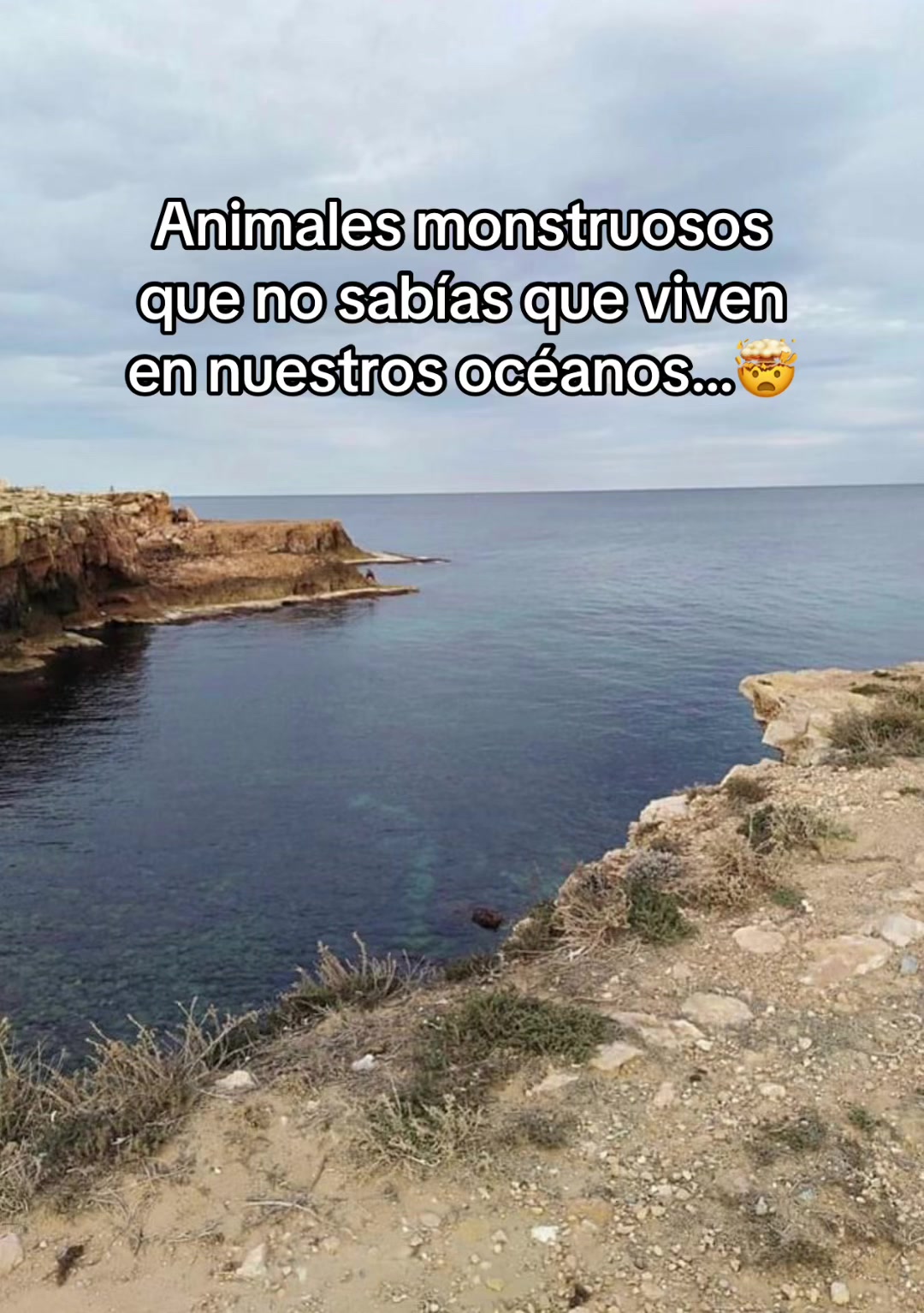 @CURIOSIDADES