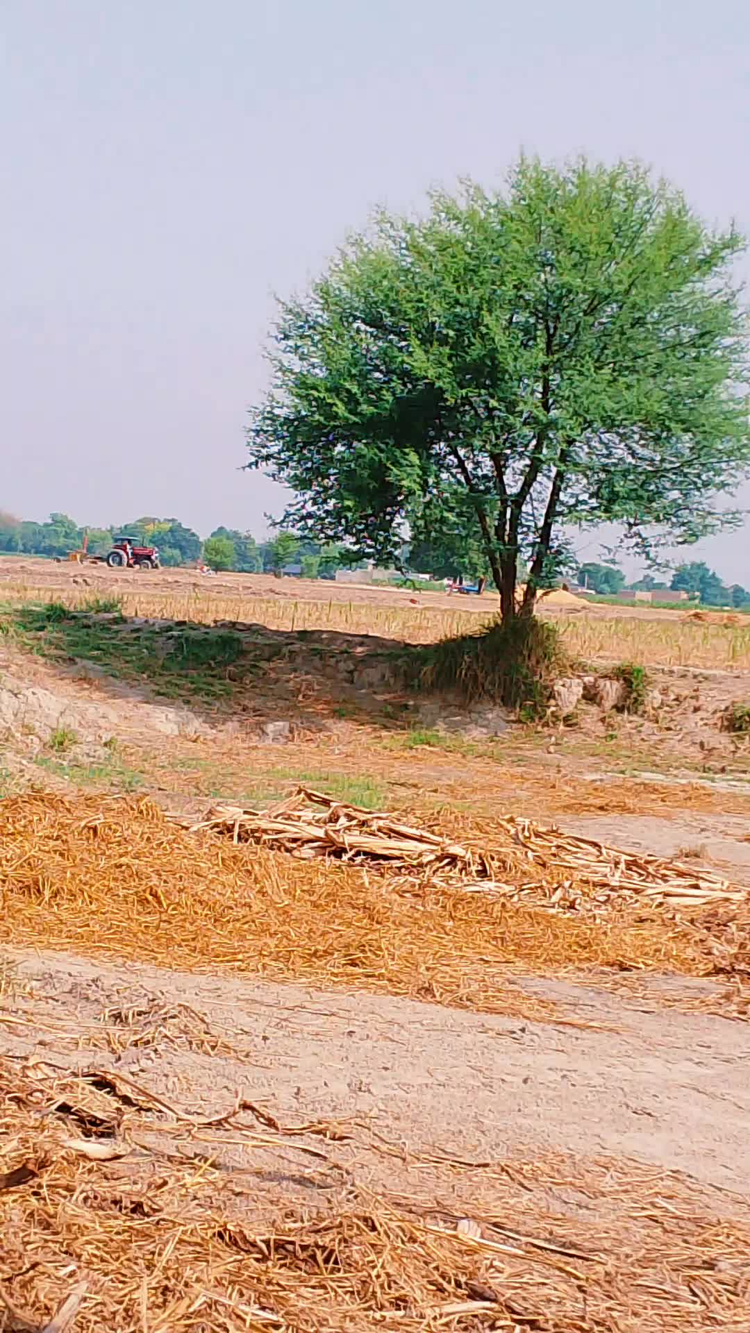 @Jam Sajid
