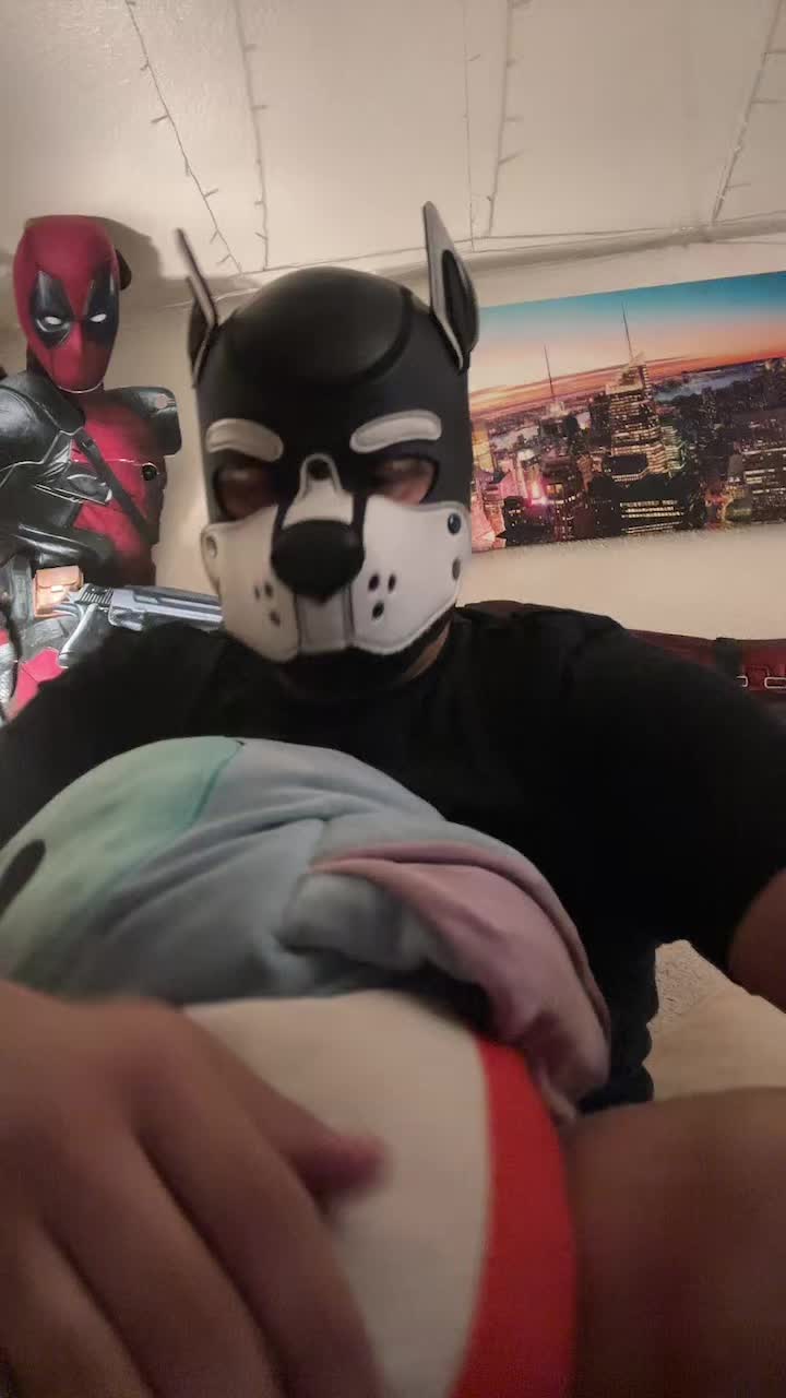 @pup_fenrir