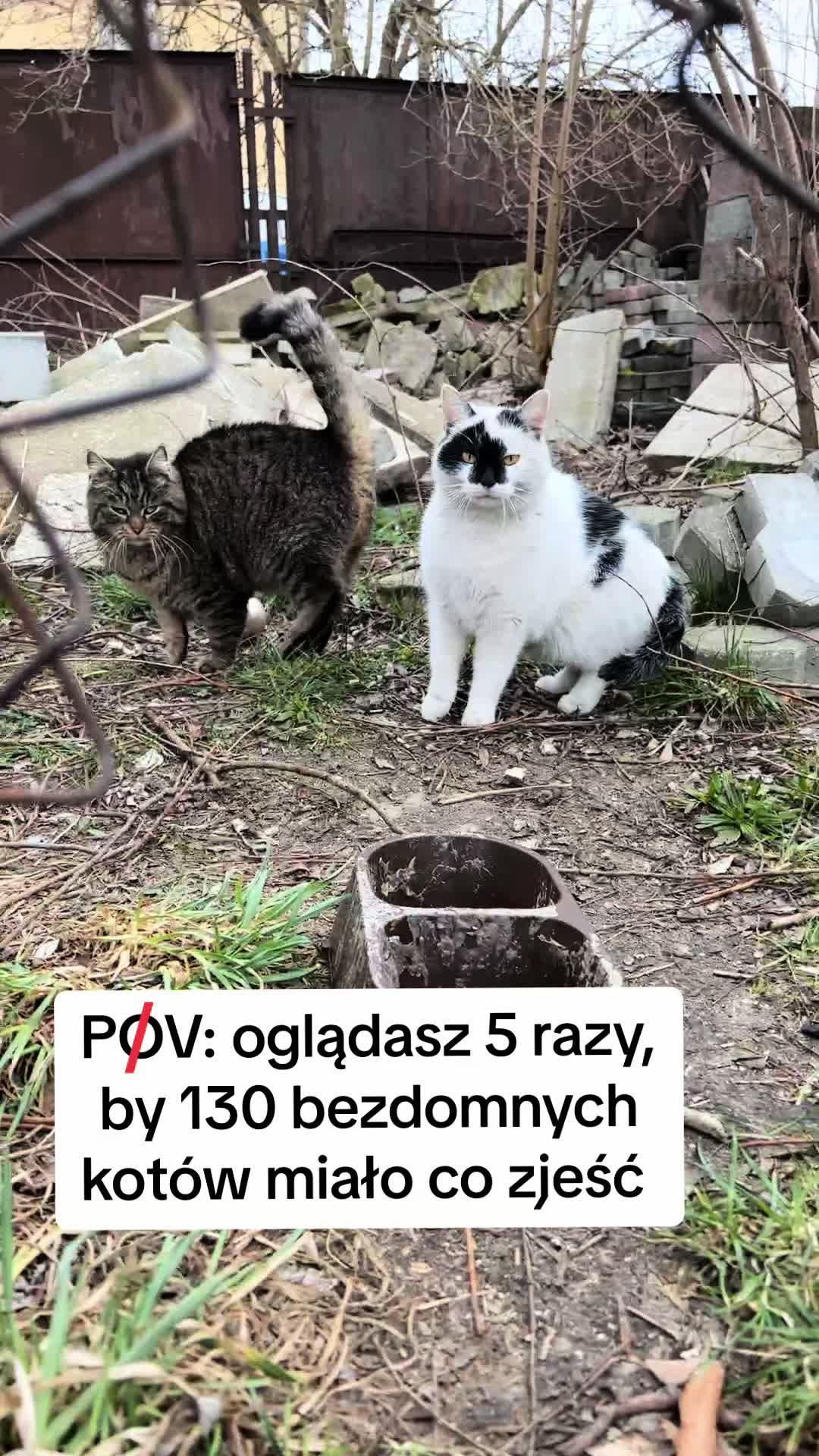 @Ratujemy