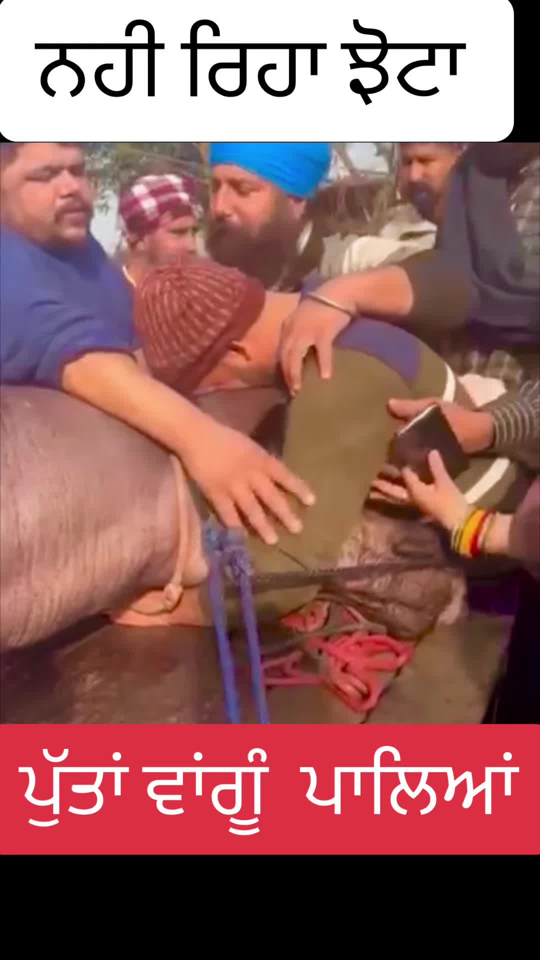 @Daljit nahal wala