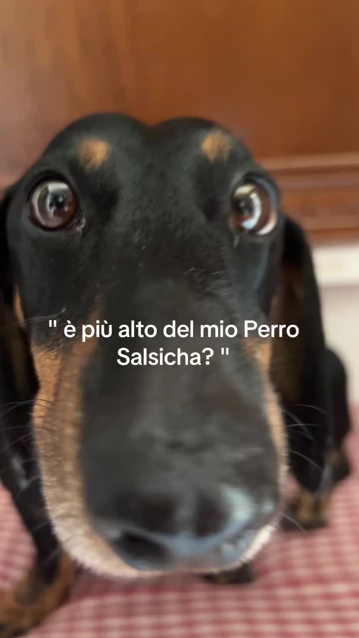 @Marika