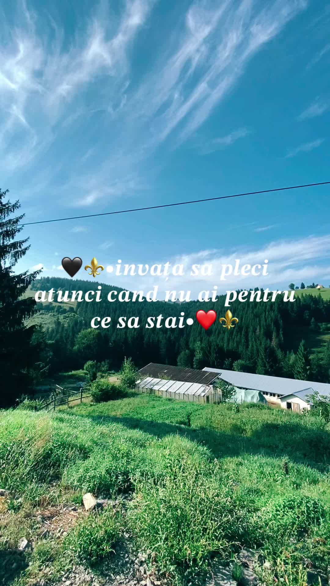 @radu