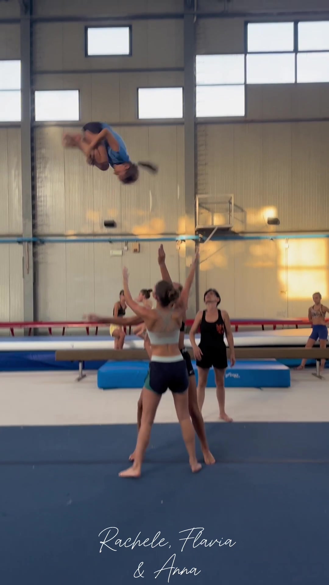 @asd acrotigers🧡🖤