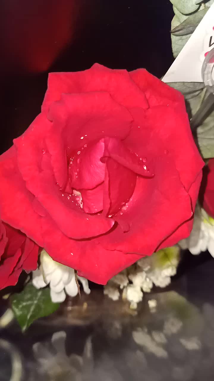 @M.M