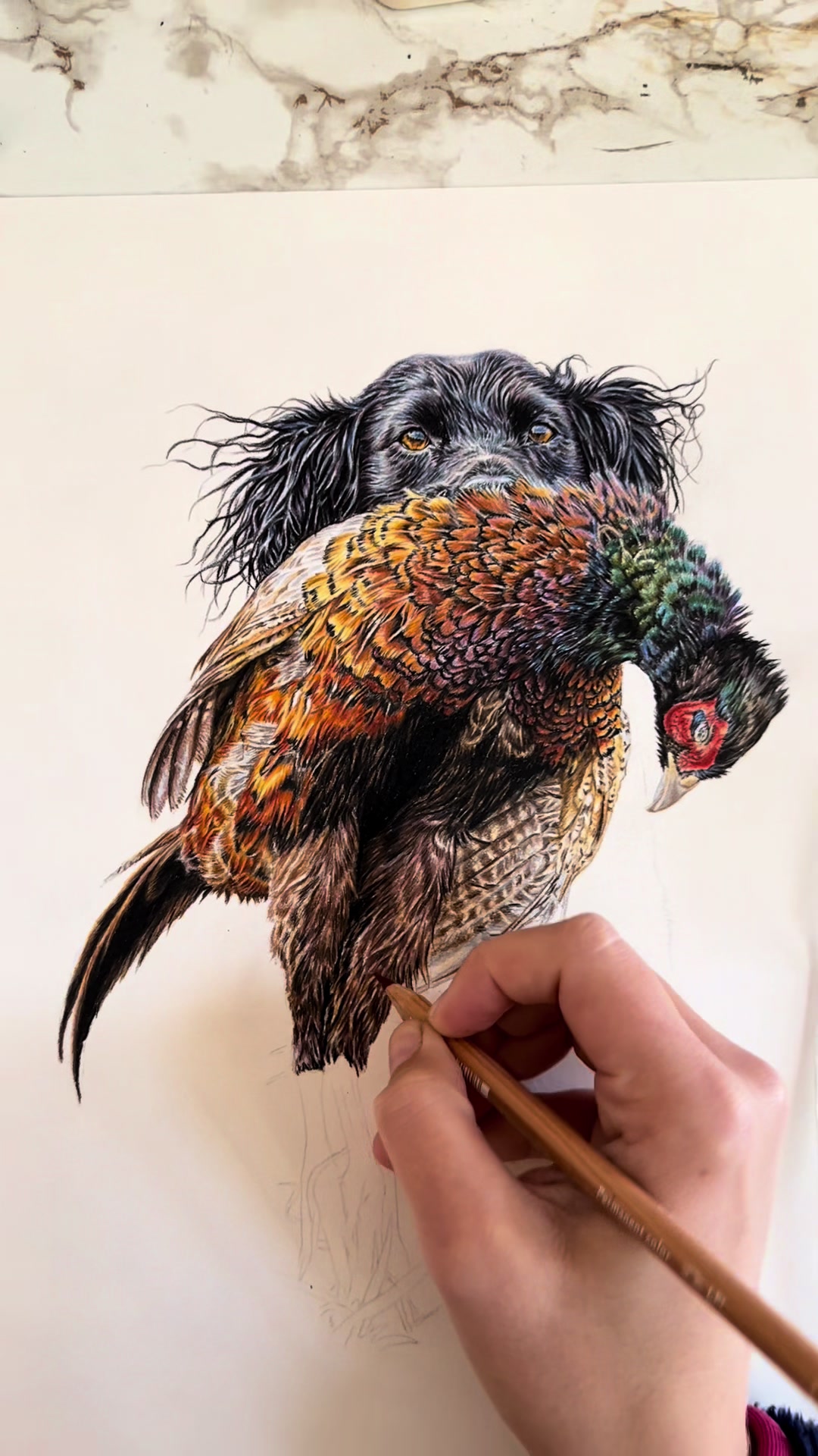 @Ellie Louise Art