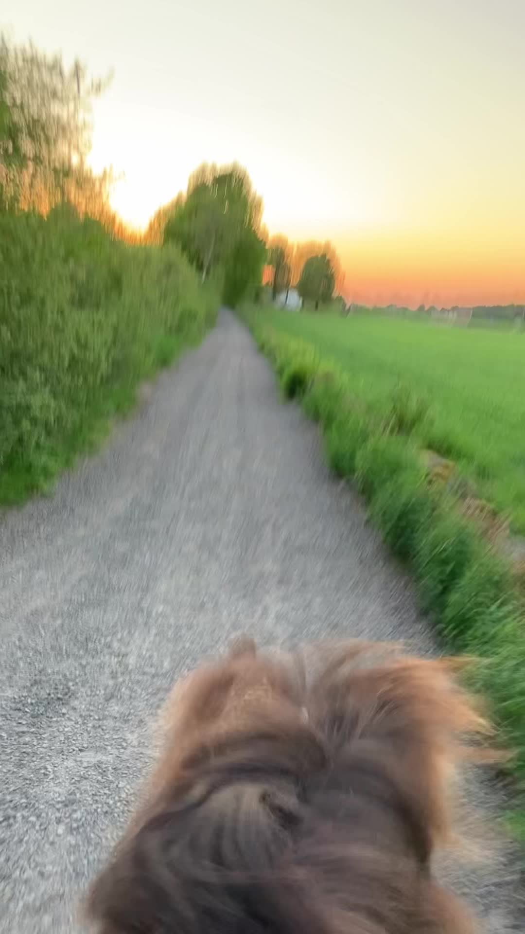 @𝓝𝓮𝓵𝓵𝓲𝓮💘