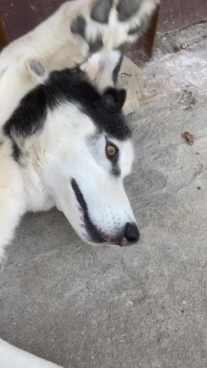 @Neli K&aacute;li, 🥰